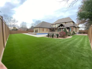 House with all synthetic turf yard