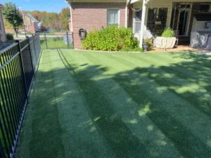 Synthethic turf yard