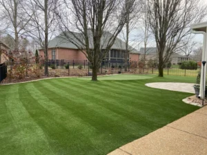 Synthetic turf side yard